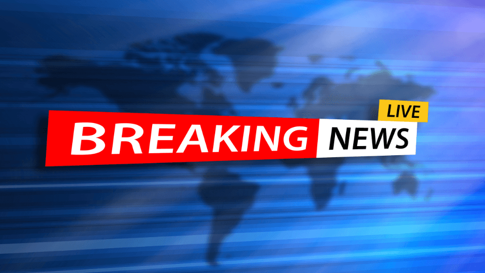 WATCH: Polar bear mom adopts cub during migration